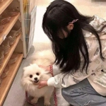 射雕群侠传之倚天屠龙游戏